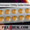 Kamagra 100Mg Gelée Orale levitra1